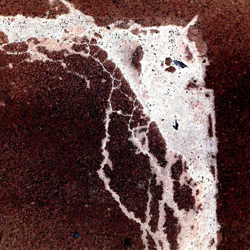 Elmar Diks-Contemporary-Digital-Photo-Art-6-Lynx_c